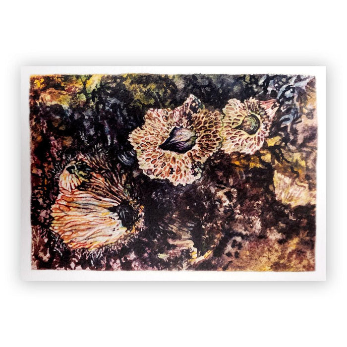 Beau Jackson Barnacle Greeting Card