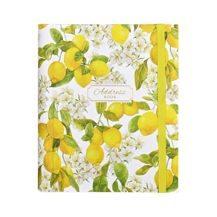 Address & Password Books