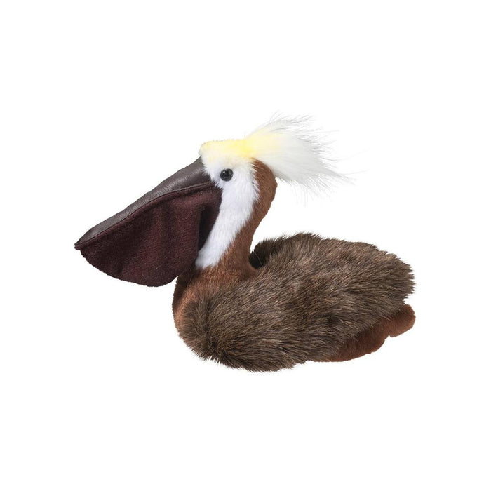 Beachy Pelican