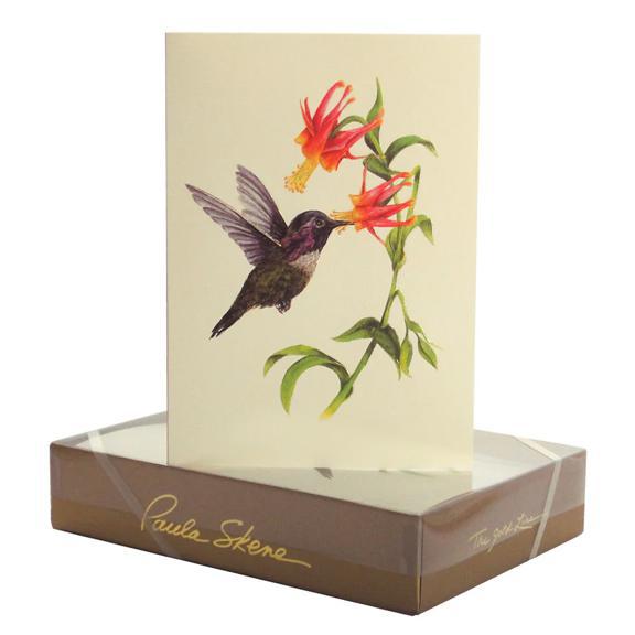 Hummingbird Boxed Notes