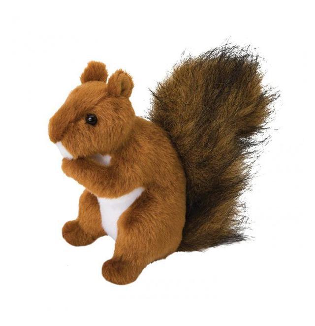 Roadie Red Squirrel