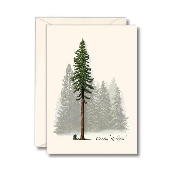 Coastal Redwood Boxed Notes