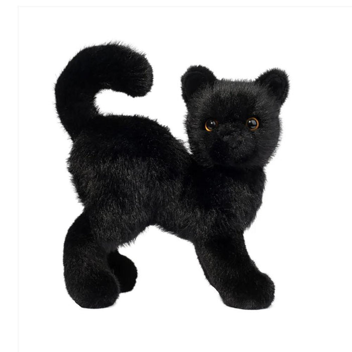 Scaredy Black Cat