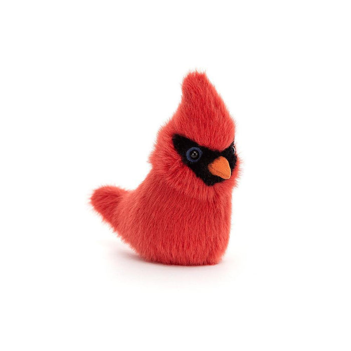 Birdling Cardinal