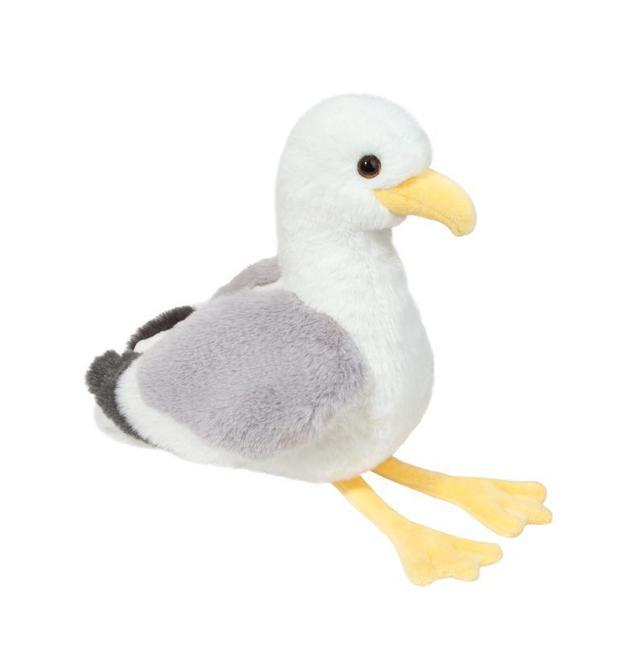Stewie Seagull