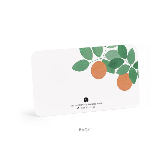 Little Notes - Orange Grove