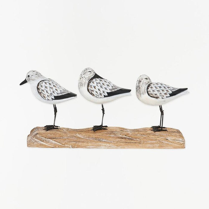Three Sea Birds on Driftwood Base