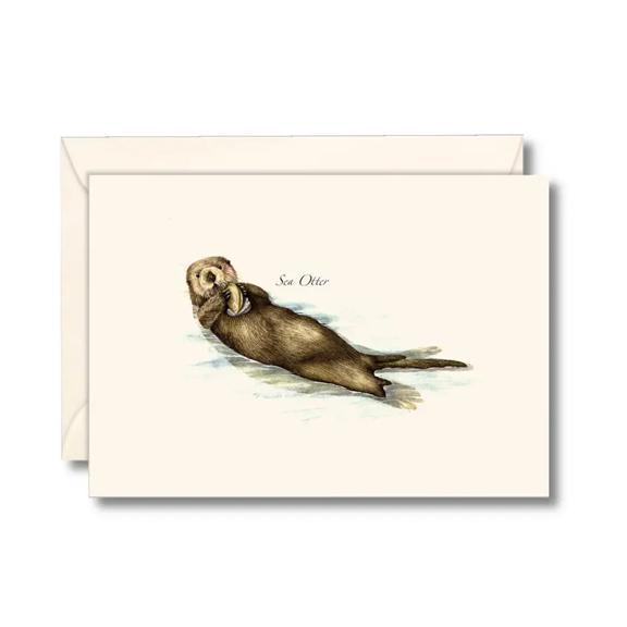 Sea Otter Floating Boxed Notes