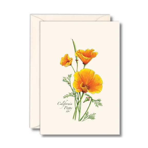 California Poppy Boxed Notes