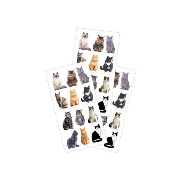 Mini Mixed Cats Stickers