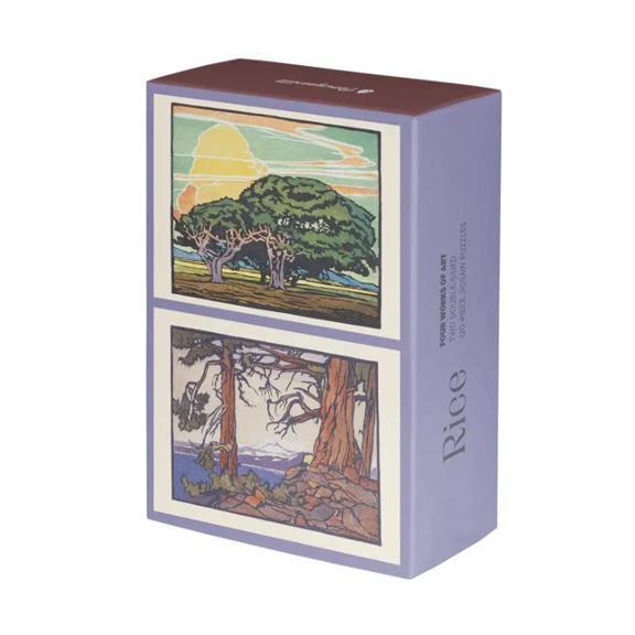 William S. Rice: Double-Sided Puzzle 120 Pieces