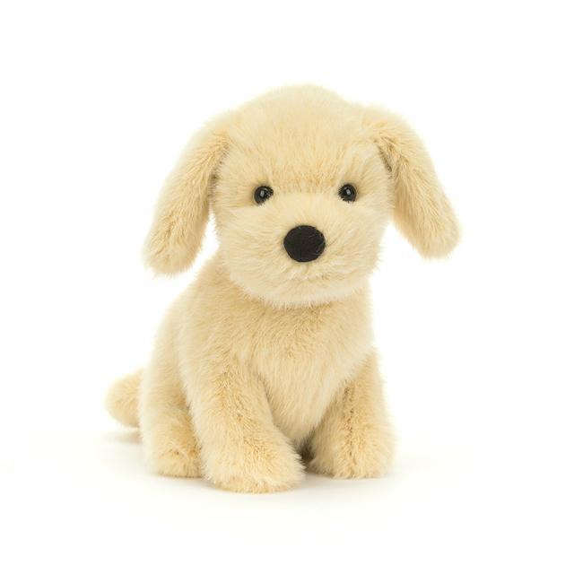 Golden Puppy