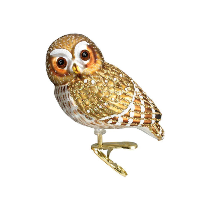 Pygmy Owl Glass Ornament