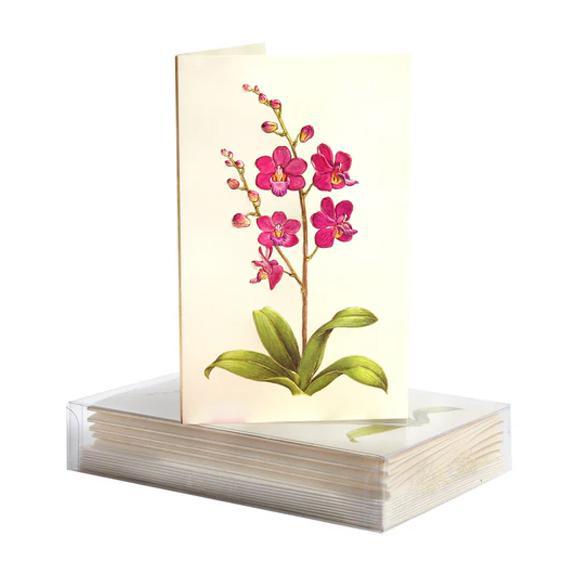 Orchid Boxed Mini Notes