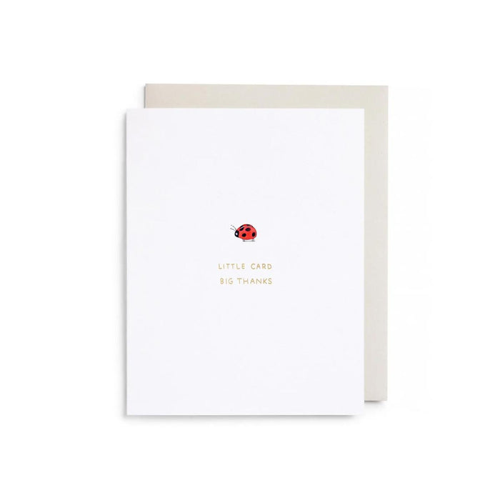 Little Card Big Thanks Boxed Notes
