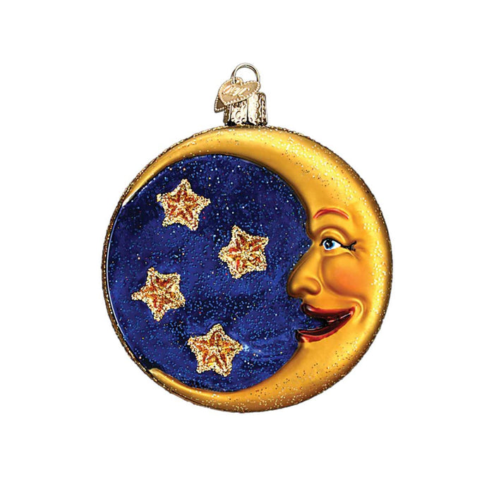 Owl in Moon Glass Ornament