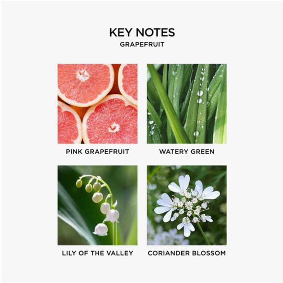 Grapefruit Reed Diffuser