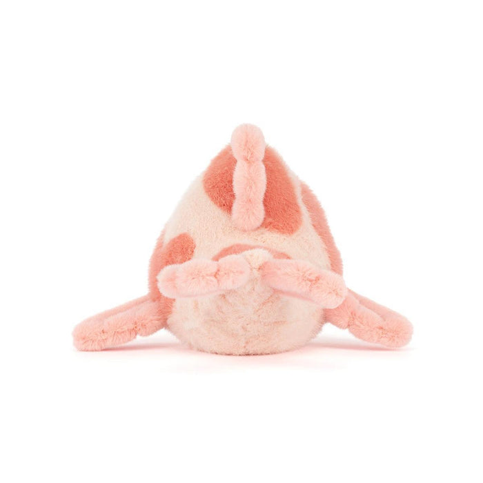 Fancy Carp