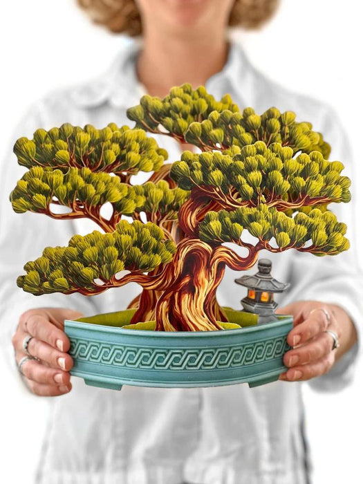 Pop-Up Tree - Wisdom Bonsai
