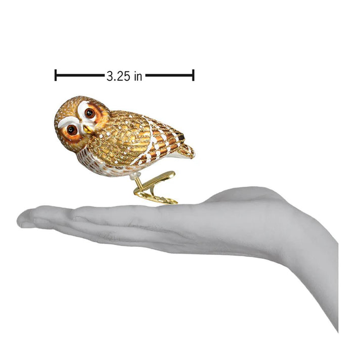 Pygmy Owl Glass Ornament