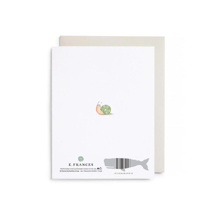Little Card Big Thanks Boxed Notes