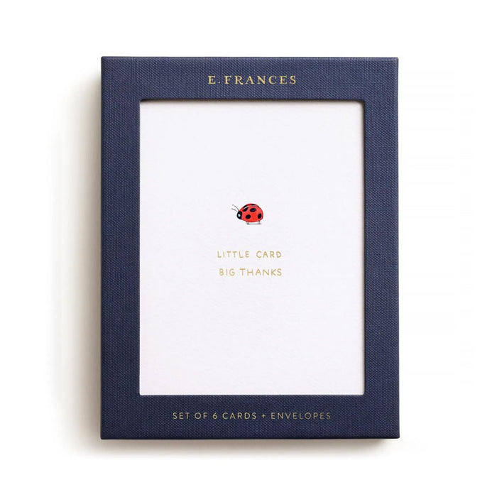 Little Card Big Thanks Boxed Notes