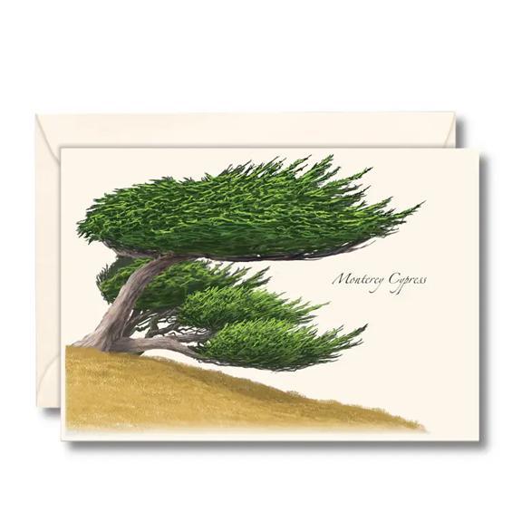 Monterey Cypress Boxed Notes