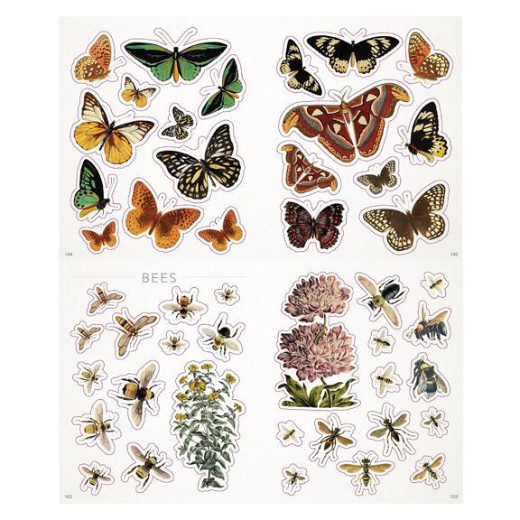 Bees, Birds & Butterflies Sticker Anthology