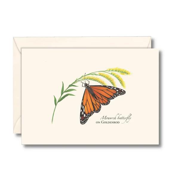 Monarch on Goldenrod Boxed Notes