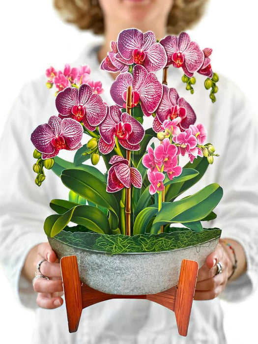 Pop Up Bouquet - Orchid Oasis
