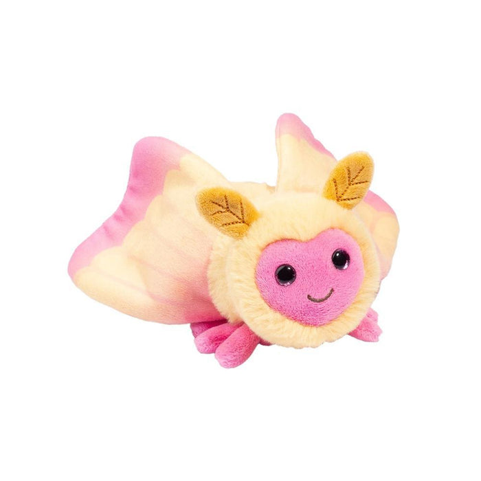 Rosy Maple Moth