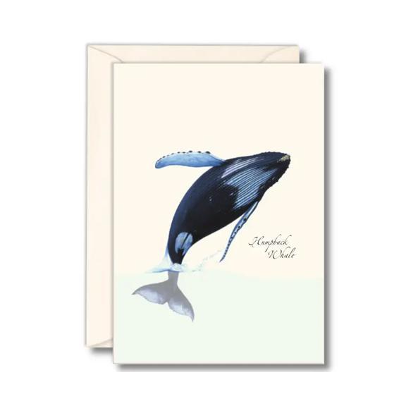 Breaching Humpback Boxed Notes