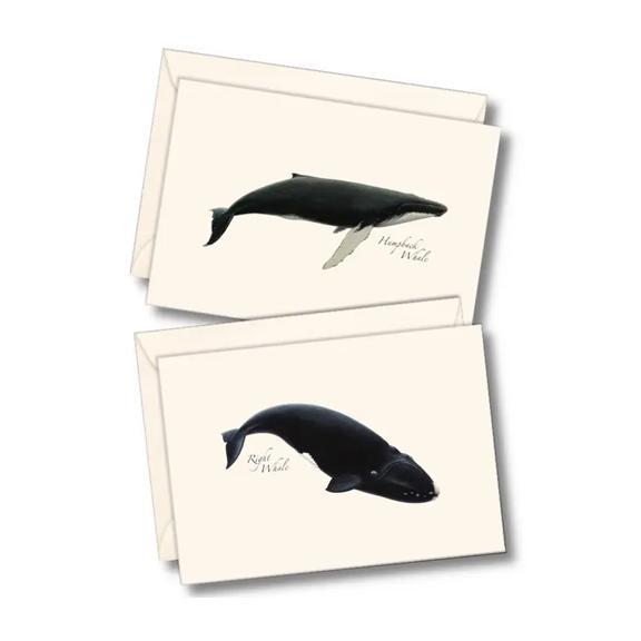 Whale Assorted Boxed Notes