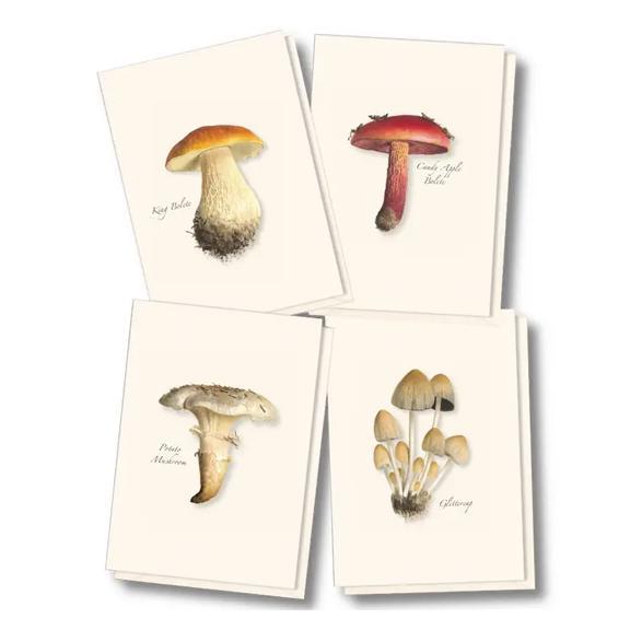 Mushroom Assortment Boxed Notes