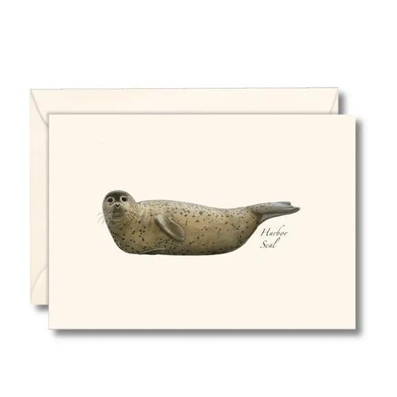 Harbor Seal Boxed Notes