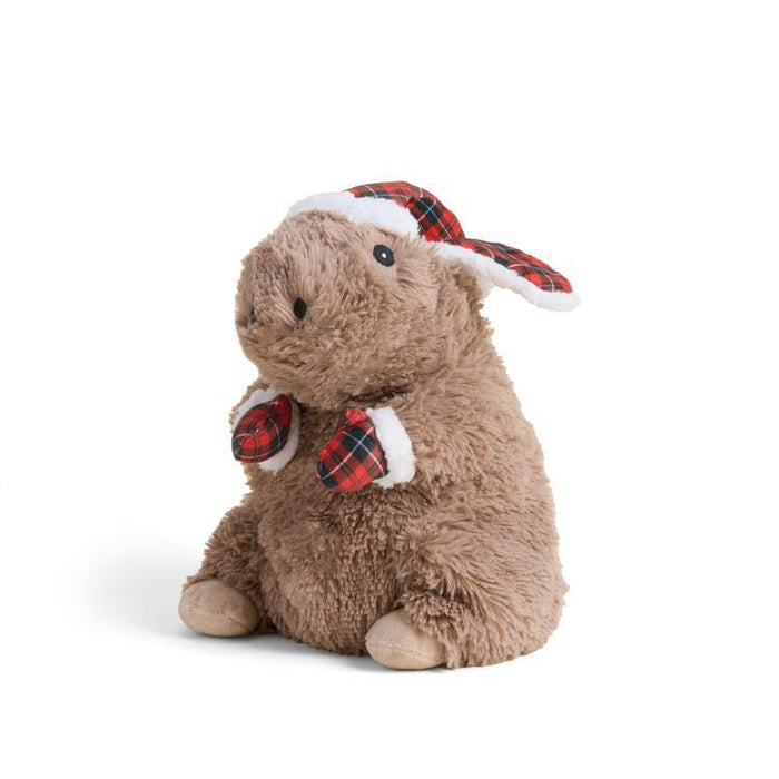 Cozy Capybara Warmies