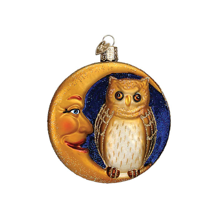 Owl in Moon Glass Ornament
