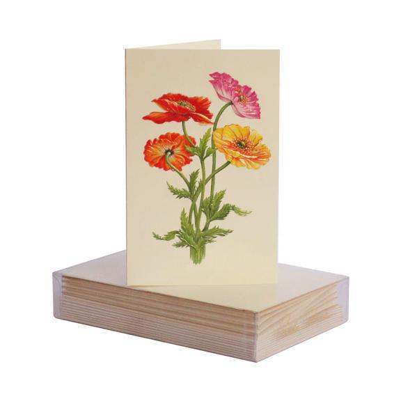 Colorful Poppies Boxed Mini Notes