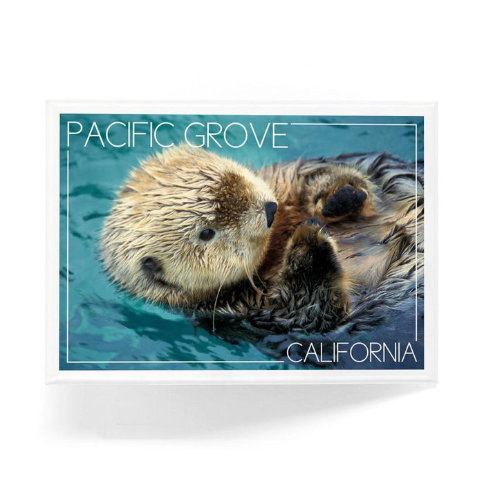 Magnet - Pacific Grove Sea Otter