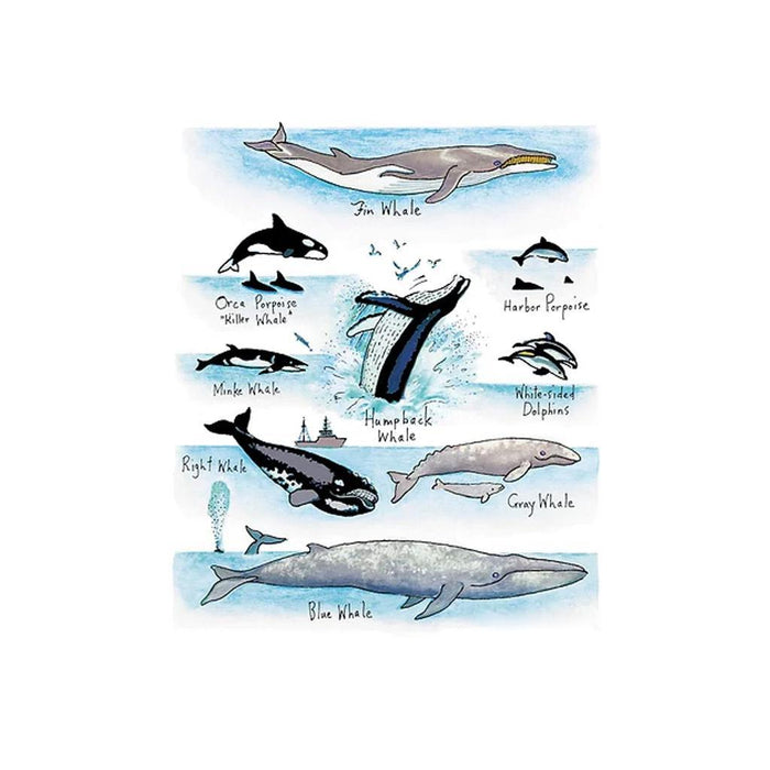 Whales Flour Sack Towel