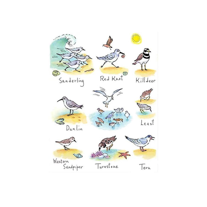 Beach Birds Flour Sack Towel